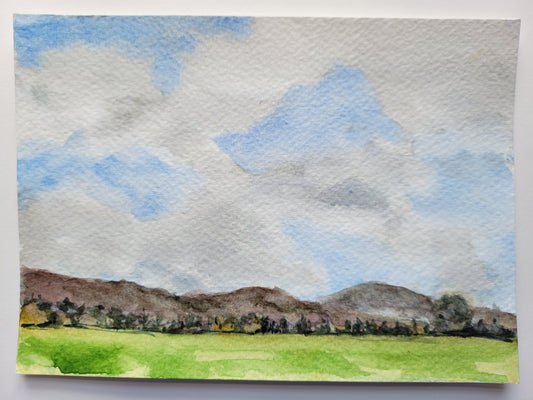 Warner Pasture & Sky