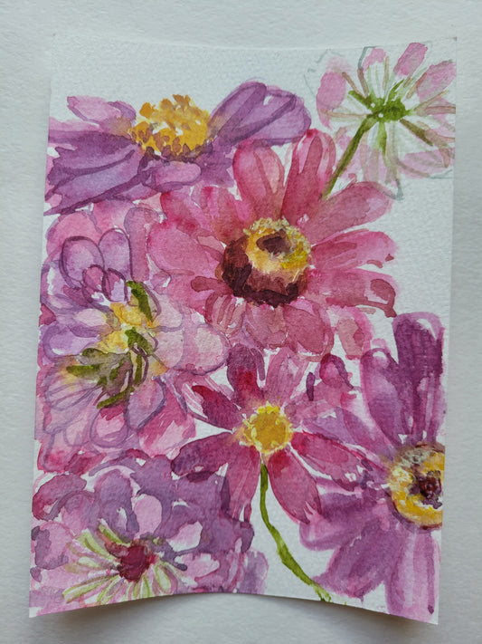 Zinnia Summer Love II