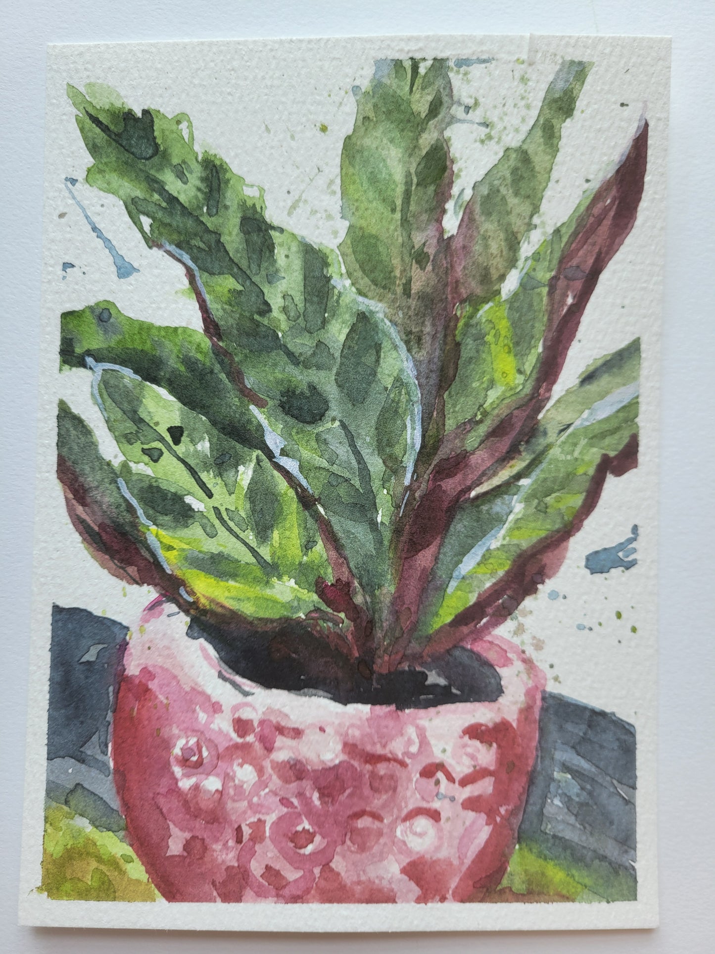 Strawberry Pot Happiness