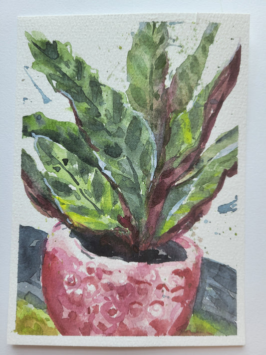 Strawberry Pot Happiness