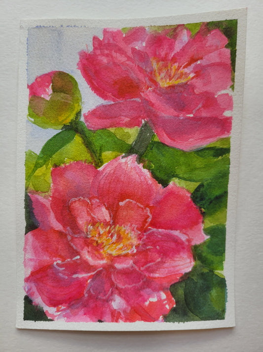 Hot Pink Peony Redo