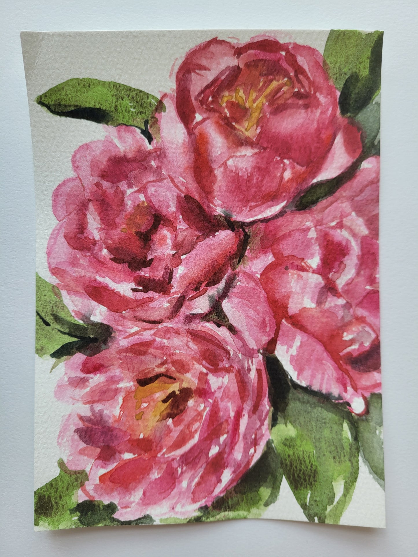 My Best Peonies Yet