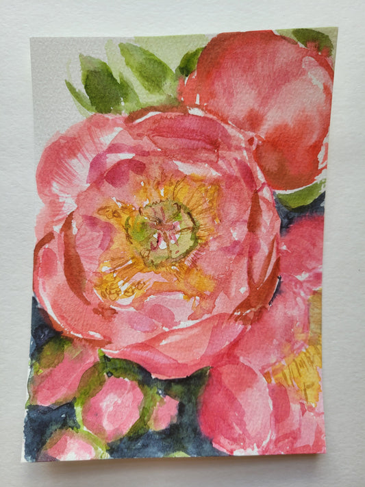 Unapologetic Peonies