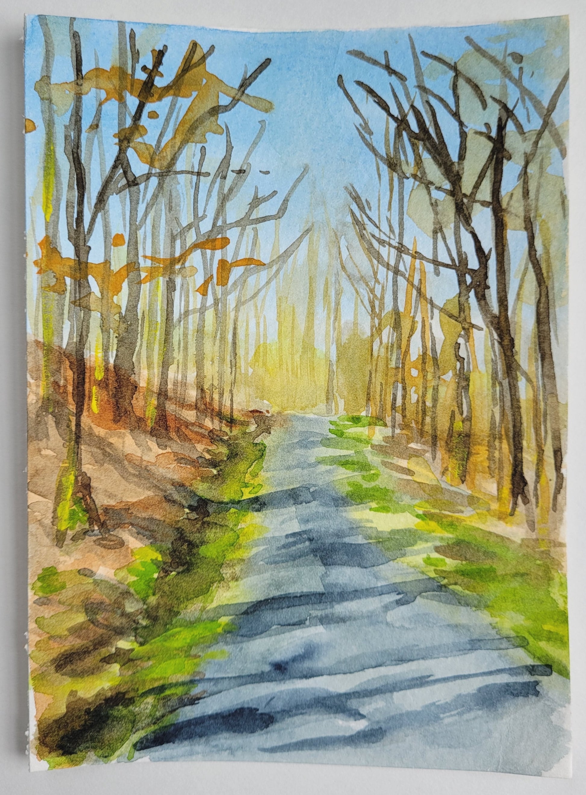 5"x7" original watercolor painting on 140 lb. watercolor paper by Betsy Gaccione of a spring morning at Edwin Warner Park in Nashville TN.