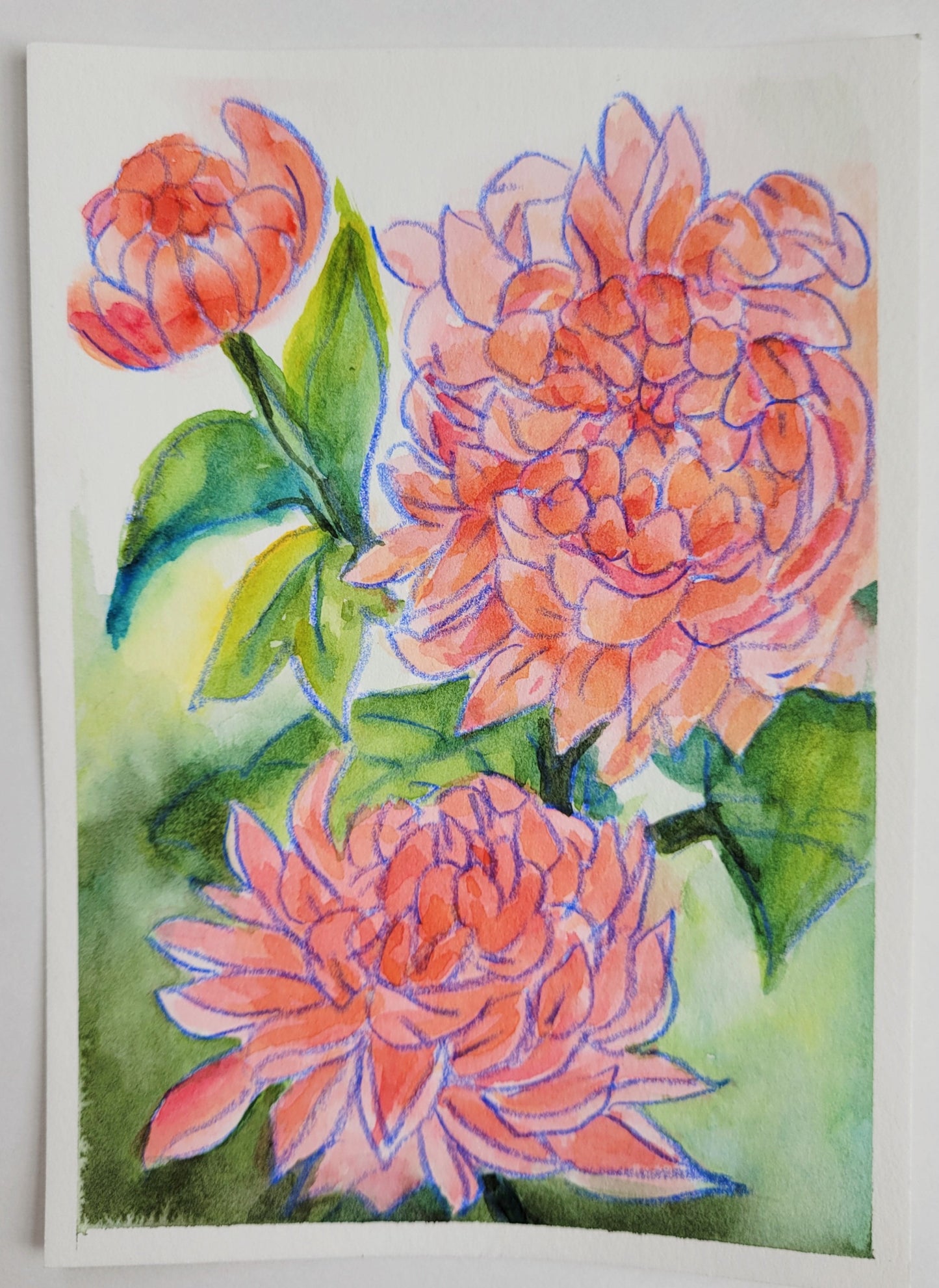 5"x7" original watercolor and colored pencil painting on 140 lb. 100% cotton watercolor paper by Betsy Gaccione. Art piece will come matted to fit a standard 8x10 photo frame.