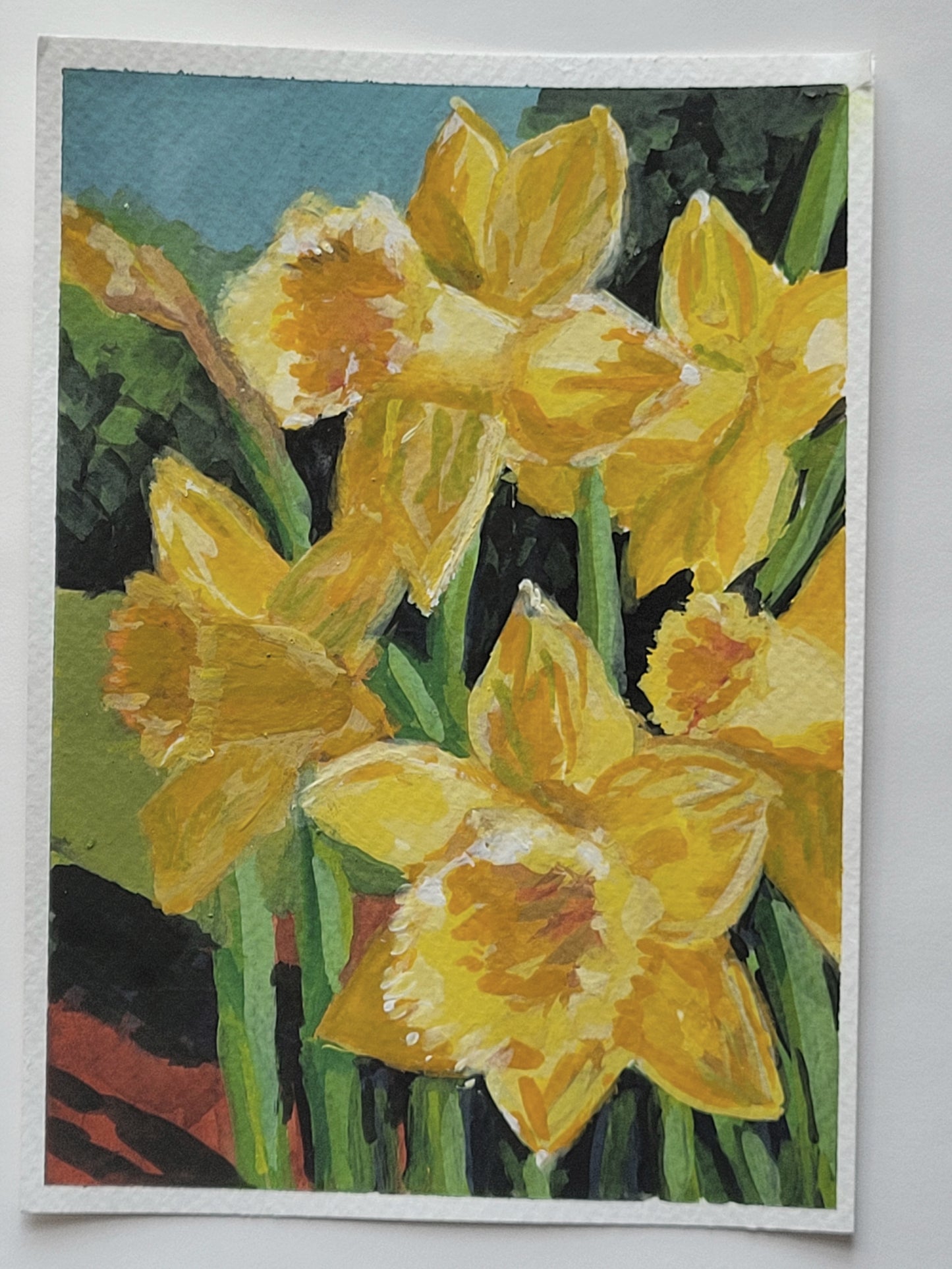 Daffodils