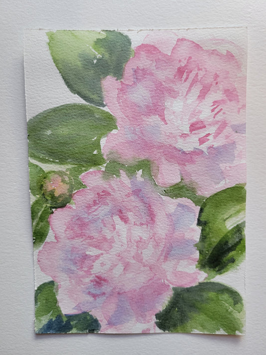 Sarah Bernhardt Peonies I