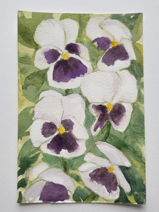 Wonky Pansies