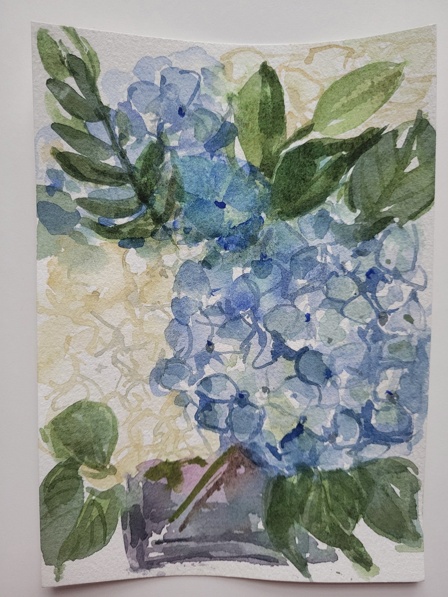 Blue & White Hydrangeas in a Vase