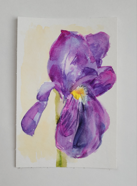 Tennessee Iris