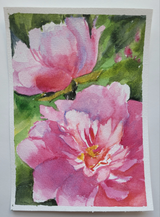 LeeAnn's Pink Peonies