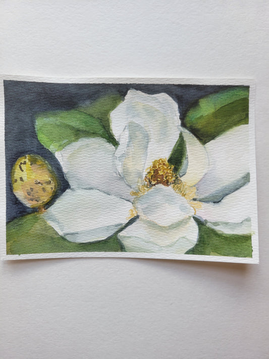 Magnolia Show