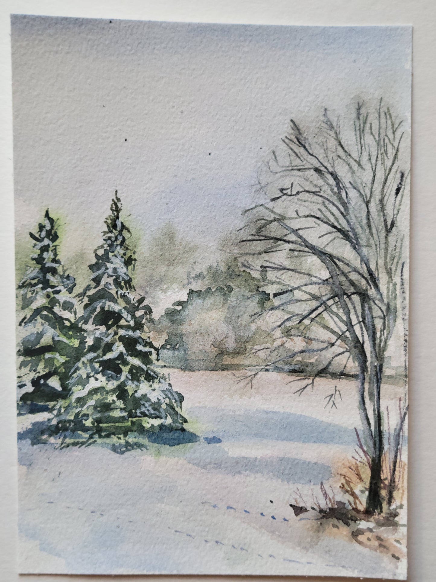 Winter Pasture View