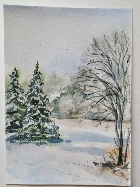 Winter Pasture View