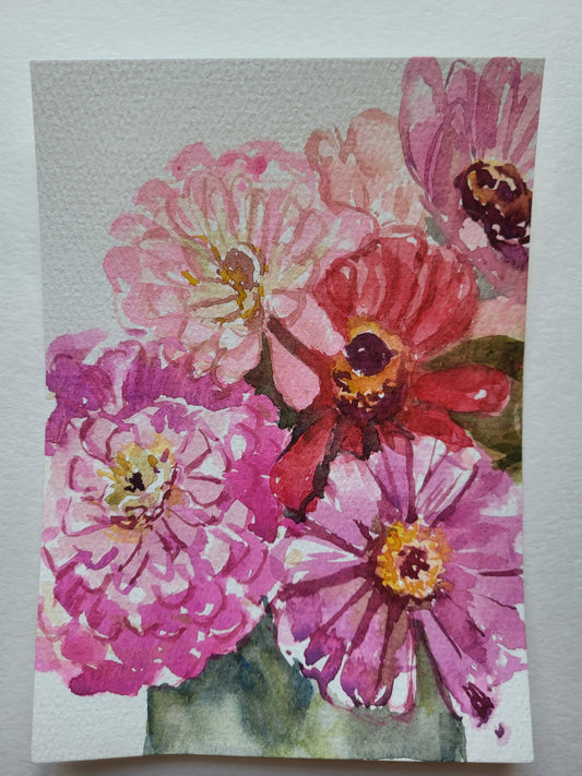 Zinnia Gratitude