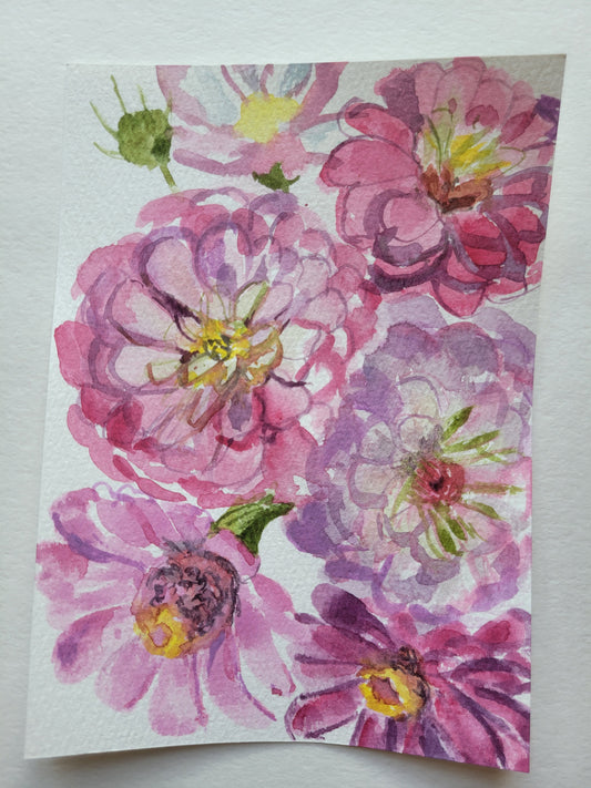 Zinnia Summer Love