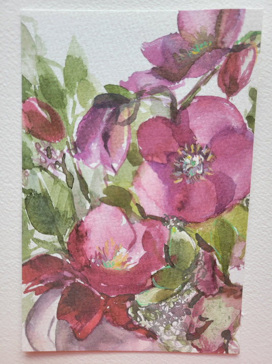 Hellebores