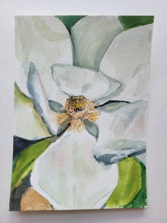 Magnolia Show IV