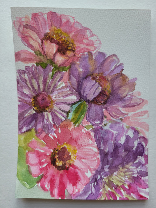Zinnia Gratitude II