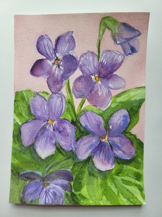 Sweet Wild Violets